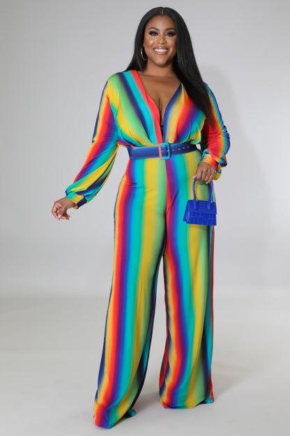Multi Color Jumpsuit 2x